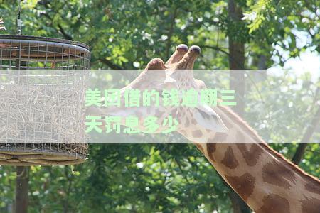 美团借钱逾期2天，第三天还款，算预期吗？能否二次借款及恢复时间?