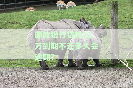 邮政贷款逾期两年是否还需偿还利息？计算方法及影响因素解析