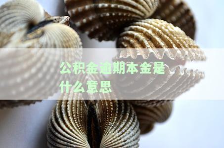 公积金出现逾期还款怎么办，公积金逾期还款：如何应对与解决？