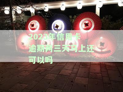 2023年信用卡逾期两三天，还能马上还款吗？解决方案在此！