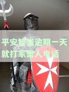 平安智贷逾期一个月是否要上门催收？