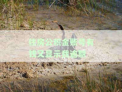 住房公积金账号有钱却显示逾期，如何解决？