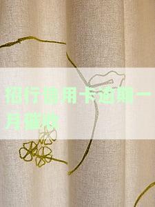 招行信用卡逾期一月催收应对策略