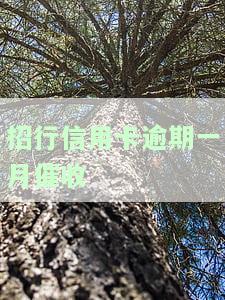 招商银行逾期一个月还能继续使用信用卡么，信用卡逾期一个月，能否继续使用招商银行信用卡？