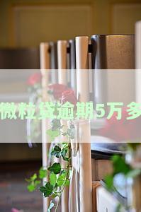 微粒贷逾期5万多