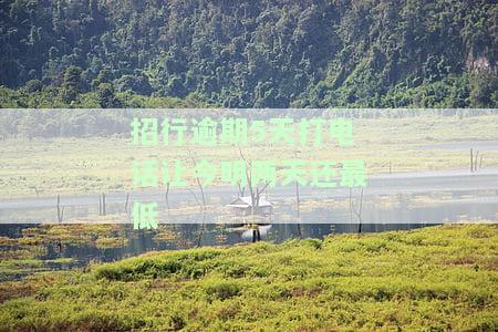 招行逾期五天短信通知后还款是否会影响征信？
