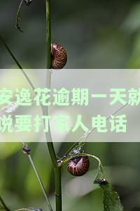 安逸花逾期2天说要打电话给家里人会打吗，安逸花逾期两天，真的会打电话给家里人吗？