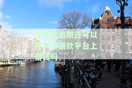 花呗有逾期还可以在其它借款平台上借钱吗知乎，花呗逾期是否会影响在其他借款平台的借款能力？——知乎讨论