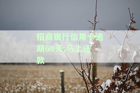 招商银行信用卡逾期后，需全额还款吗？解决方案是什么？