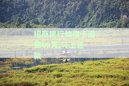 招商银行信用卡逾期60天,马上还款-招商银行信用卡逾期60天,马上还款可以吗