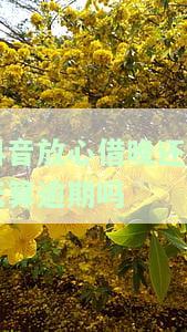抖音放心借：晚还一天算逾期吗？怎么办？