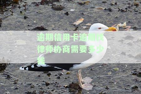 逾期信用卡逾期找律师协商需要多少钱呢，信用卡逾期协商请律师费用多少？