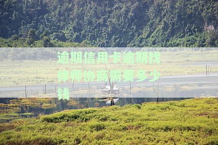 逾期信用卡逾期找律师协商需要多少钱