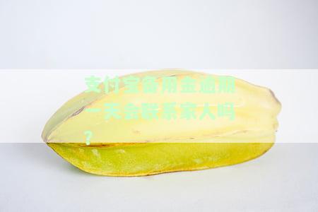 支付宝备用金逾期一天会联系家人吗？安全风险解析