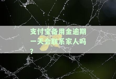 支付宝备用金逾期一天会上报影响征信吗？不是故意的