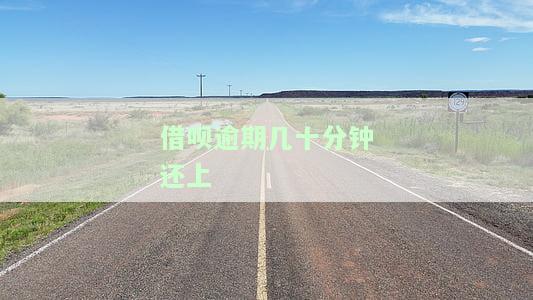借呗逾期几十分还上怎么办，借呗逾期几十分，如何及时还款并避免影响信用记录？