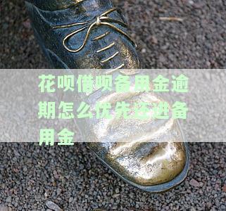 存在备用金花呗借呗逾期请结清后使用，重要提醒：若您有备用金、花呗或借呗逾期，请及时结清以便继续使用
