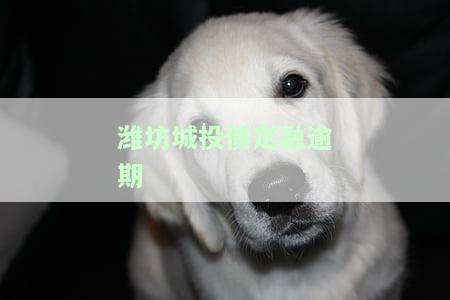潍坊城投违约，山东潍坊城投公司出现违约，引发市场关注