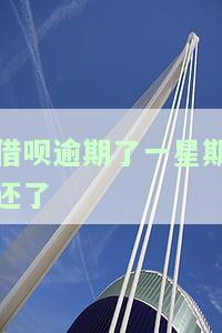 借呗逾期了一星期还了还能借吗，借呗逾期一周后还款，是否影响再次借款？