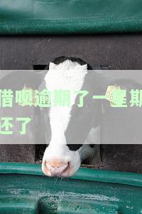 借呗逾期了一星期还了
