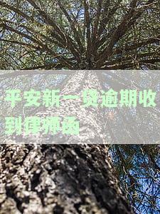 平安新一贷逾期收到律师函，如何处理？