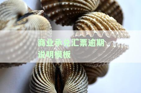 商业承兑汇票逾期说明模板下载，立即下载：商业承兑汇票逾期说明模板