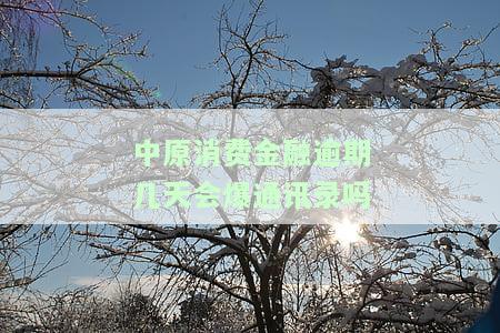 中原消费金融逾期多久会爆通讯录？影响因素有哪些？