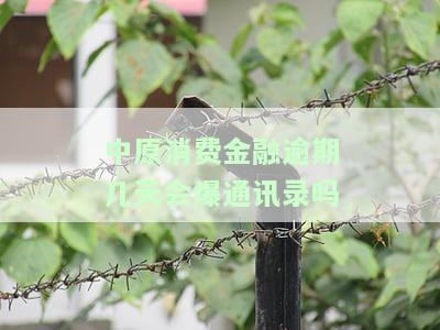 中原消费金融逾期几天会爆通讯录吗