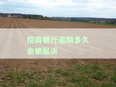 招商银行逾期还款多少天才会上征信，逾期还款多少天会列入招商银行信用记录？