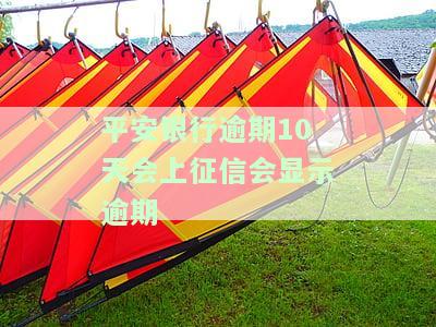 平安银行逾期10天是否会上征信并显示逾期？