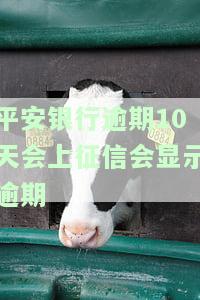 平安银行逾期十天了,能不能这月底一起还信用卡，平安银行信用卡逾期10天，能否本月一并还款？