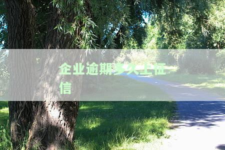 企业逾期多久上征信记录？影响深远，不容忽视！