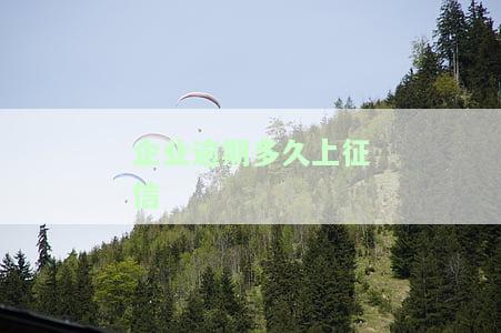 企业逾期多久上征信报告？逾期时间长短对信用记录有何影响？