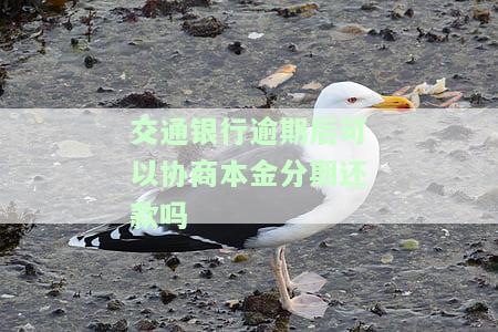 交通银行信用卡逾期能否协商还本金？最新政策解读