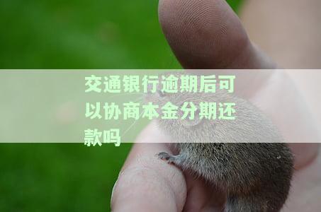交通银行逾期后能否申请停息还款？了解风险与保障措