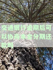 交通银行逾期后可以协商本金分期还款吗-交通银行逾期后可以协商本金分期还款吗安全吗