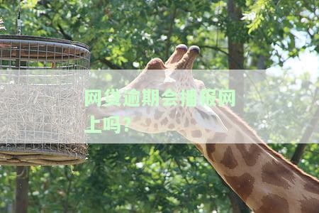 网贷逾期会播报网上吗是真的吗，真相揭示：网贷逾期真的会上网被播报吗？