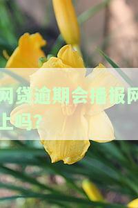 网贷逾期平台会报警抓人吗？真实情况大揭秘！