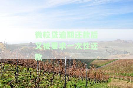 微粒贷逾期还款后又被要求一次性还款了，突发状况：微粒贷逾期还款后被要求一次性还清