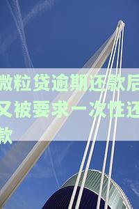 微粒贷有逾期，后来一次性还完，还能再借吗？