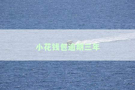 小花钱包逾期三年-小花钱包逾期三年了突然发短信催收