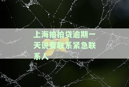 上海拍拍贷逾期了发短信说可能上门协商，警惕！收到拍拍贷逾期短信，可能会有专人上门协商还款