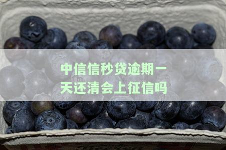 中信信秒贷逾期两天后全还清，能否再次获得额度？