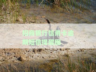 招商银行短信说信用卡逾期，警惕！招商银行短信提示信用卡逾期，如何避免逾期风险？