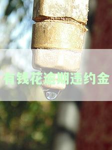 有钱花逾期违约金-有钱花逾期违约金每天收多少