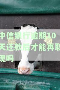 中信银行逾期10天还款后能否再取现？原因解析