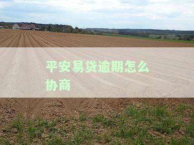 平安易贷可以协商还款吗？真的吗？