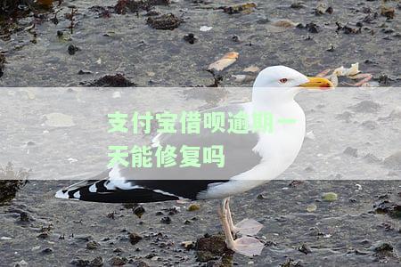 支付宝借呗逾期一天有事吗,会影响征信吗，支付宝借呗逾期一天会有什么影响？会不会影响征信？
