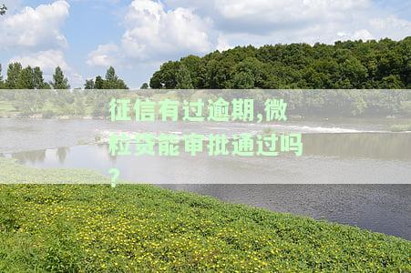 征信有过逾期,微粒贷能审批通过吗怎么办，征信逾期影响微粒贷审批？教你如何解决