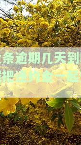 金条逾期几小时，金条逾期几小时：影响及解决方案